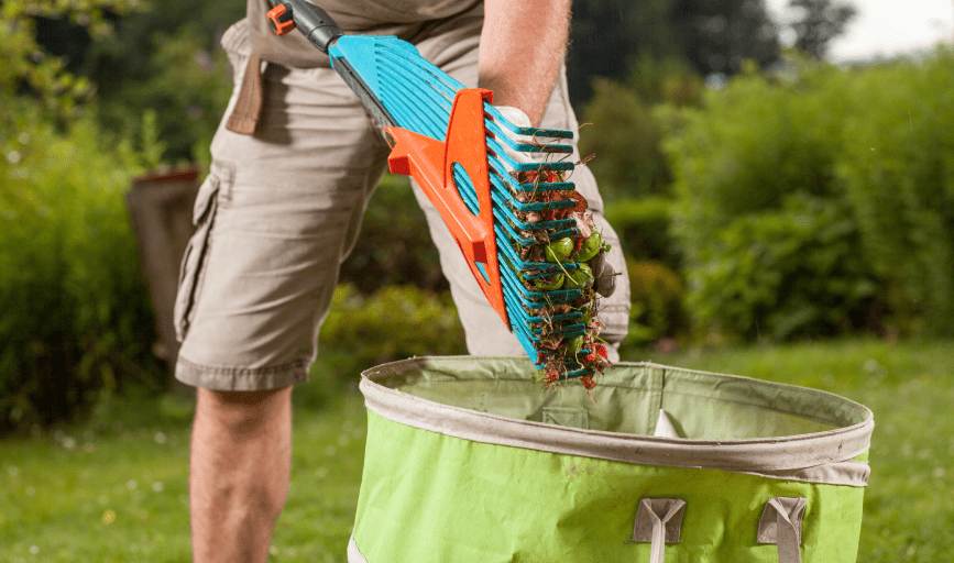 YARD CLEANUP